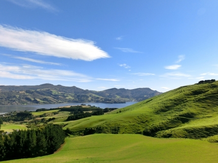 catlins (41)